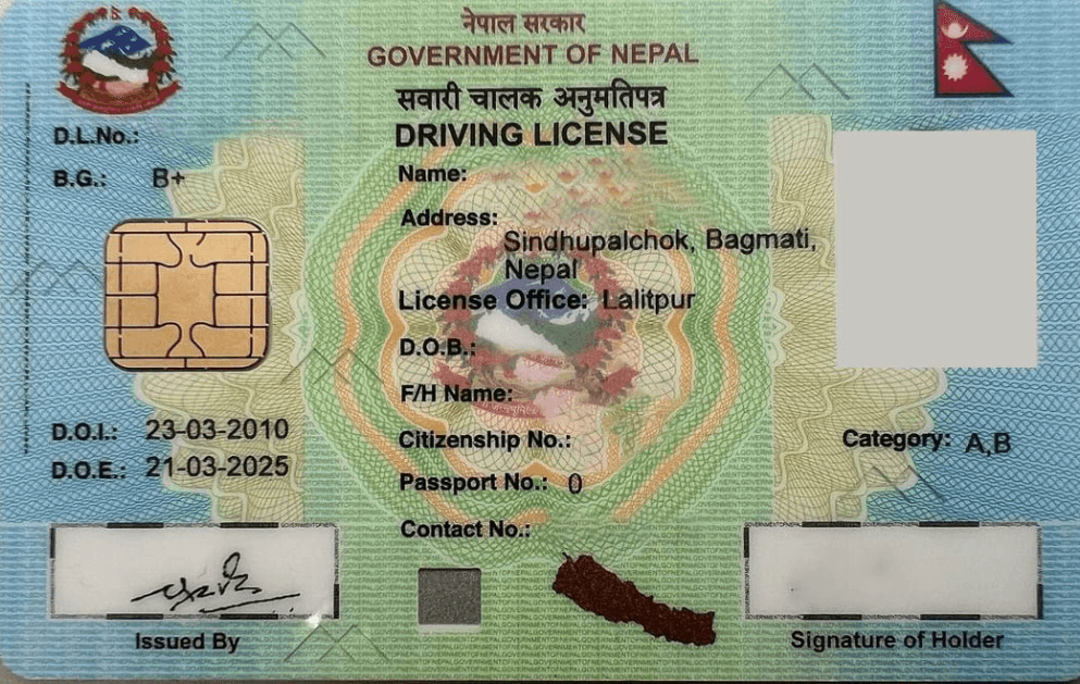 Driving License Card Sample Driving License Card Sample