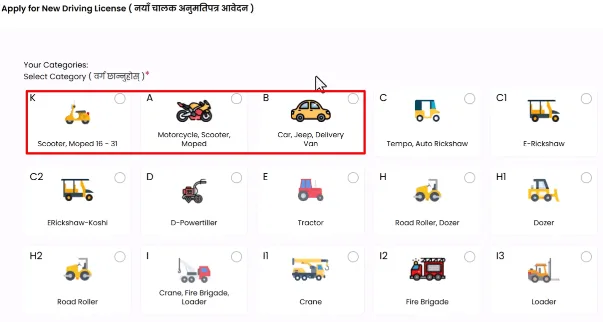 Driving License Vehicle Category